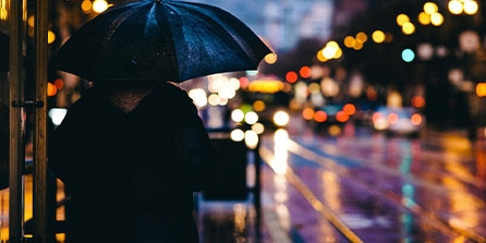 争夺战结束💥Shams：雄鹿告知各队 字母哥将留队！